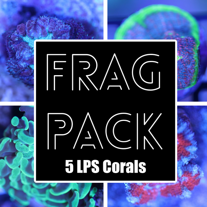 LPS Coral Frag Pack