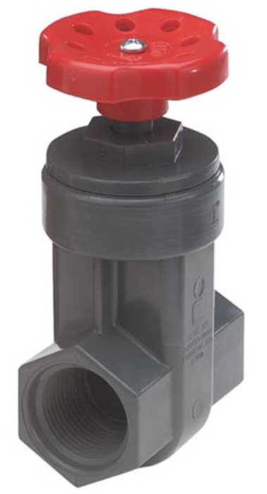 Gate Valve 1" TxT - GRAY