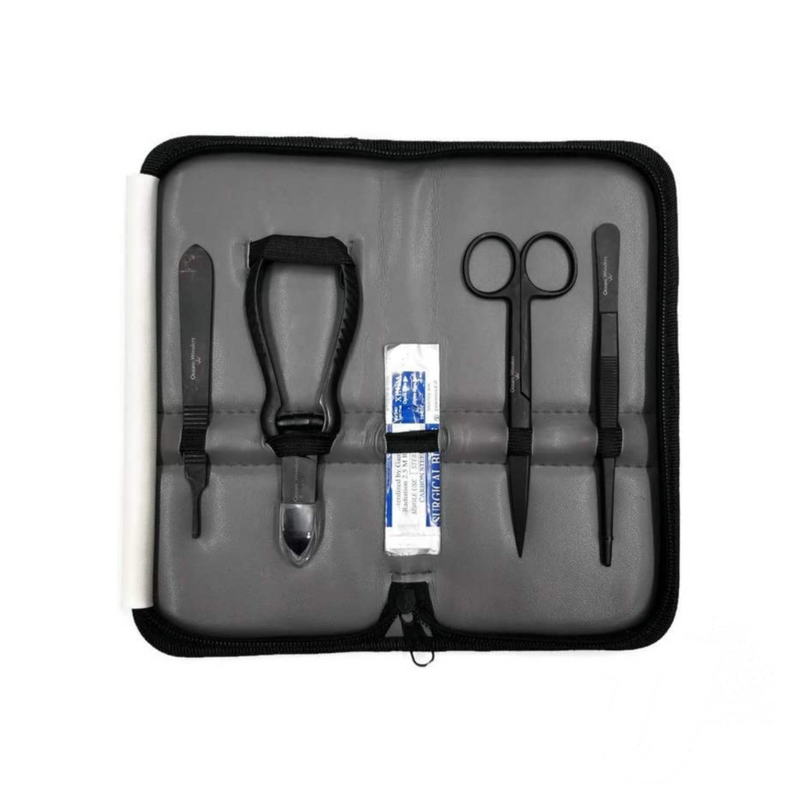 5.5" Black Oxide DIY Coral Propagation Frag Kit Apex Gray Case | Ocean Wonders