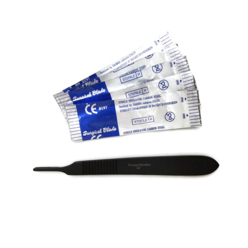 6" Black Oxide Coral Scalpel w/ 10 Blades | Ocean Wonders