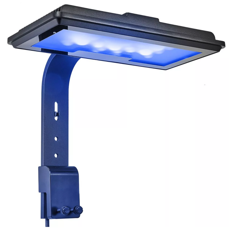 Jump 30w LED Light | Maxspect
