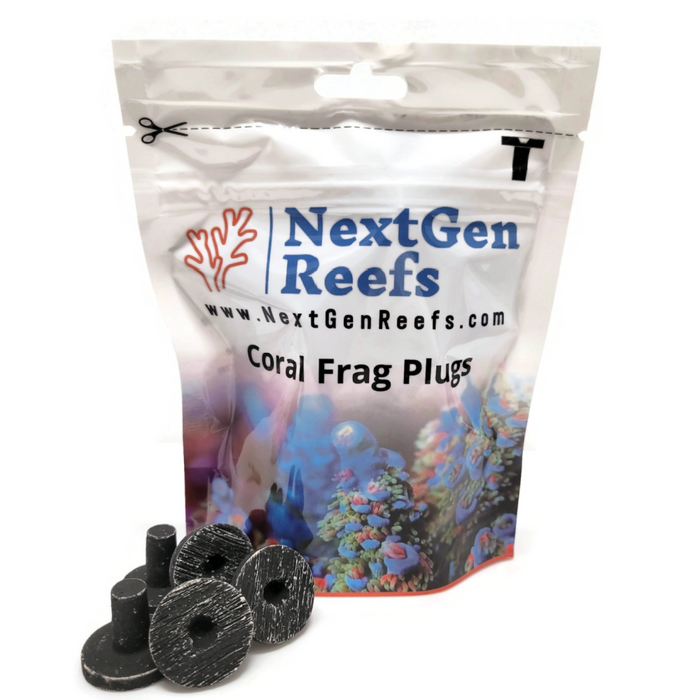 NextGen 1" Ceramic Natural Black Coral Frag Plugs 25pc | Ocean Wonders