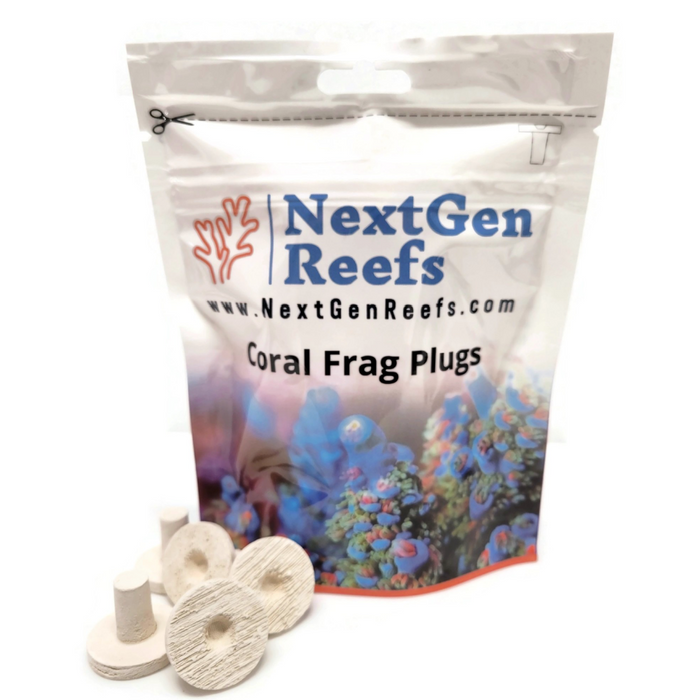 NextGen 1" Ceramic Natural White Coral Frag Plugs 25pc | Ocean Wonders