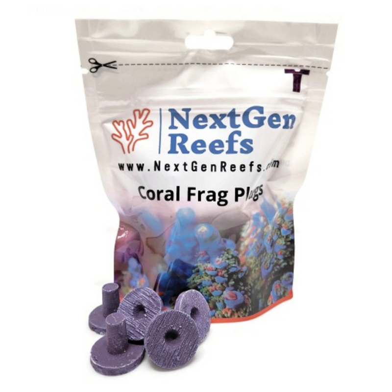 NextGen 1" Ceramic Purple Coral Frag Plugs 25pc | Ocean Wonders