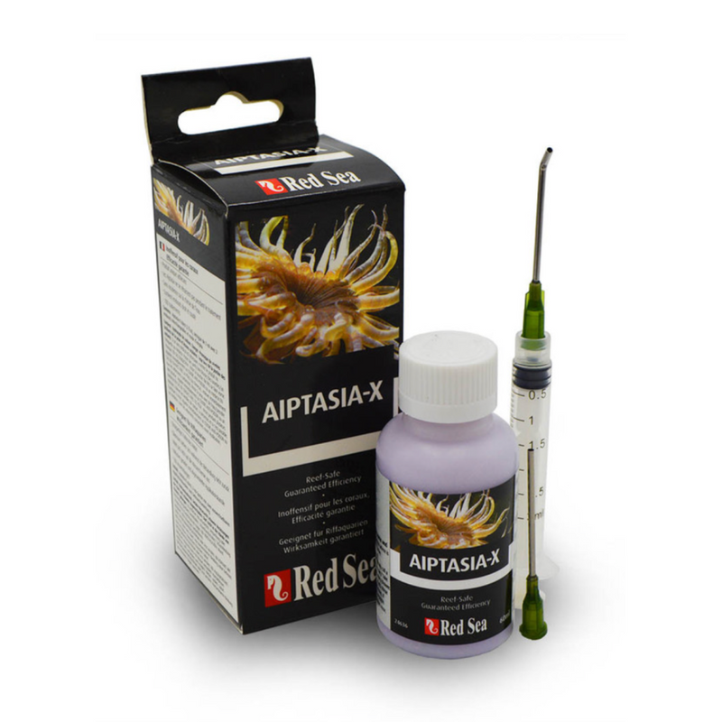 Aiptasia X | RedSea