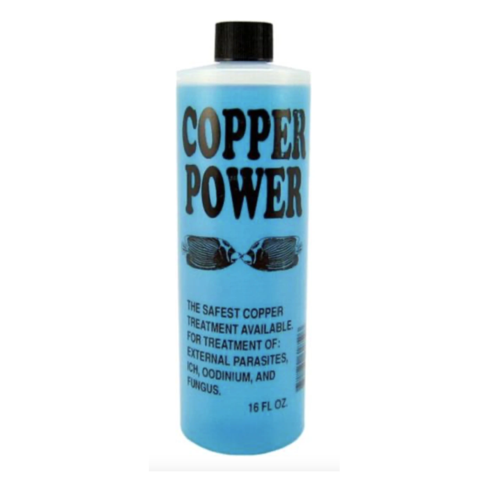 Copper Power Blue For SaltWater — Corals Unlimited