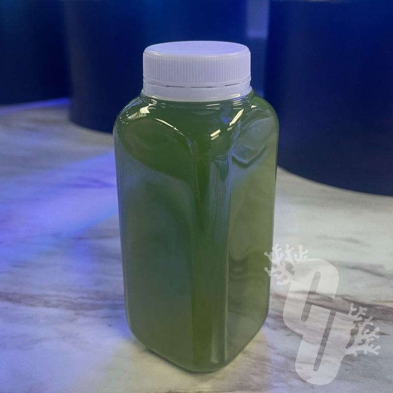 Live Phytoplankton (nannochloropsis sp.)