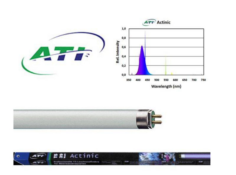 ATI Blue Plus T5 Fluorescent Marine Aquarium Bulb